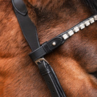 Bettlöst Träns Glam