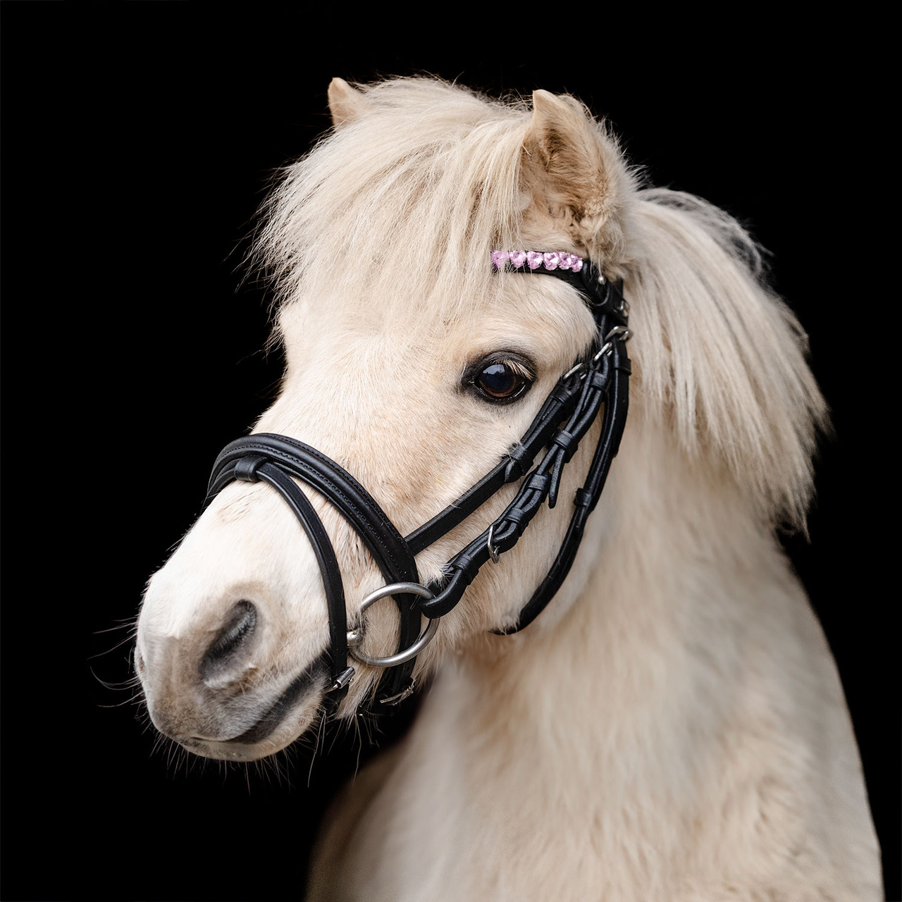 Ponnyträns Tingeling