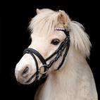 Ponnyträns Tingeling