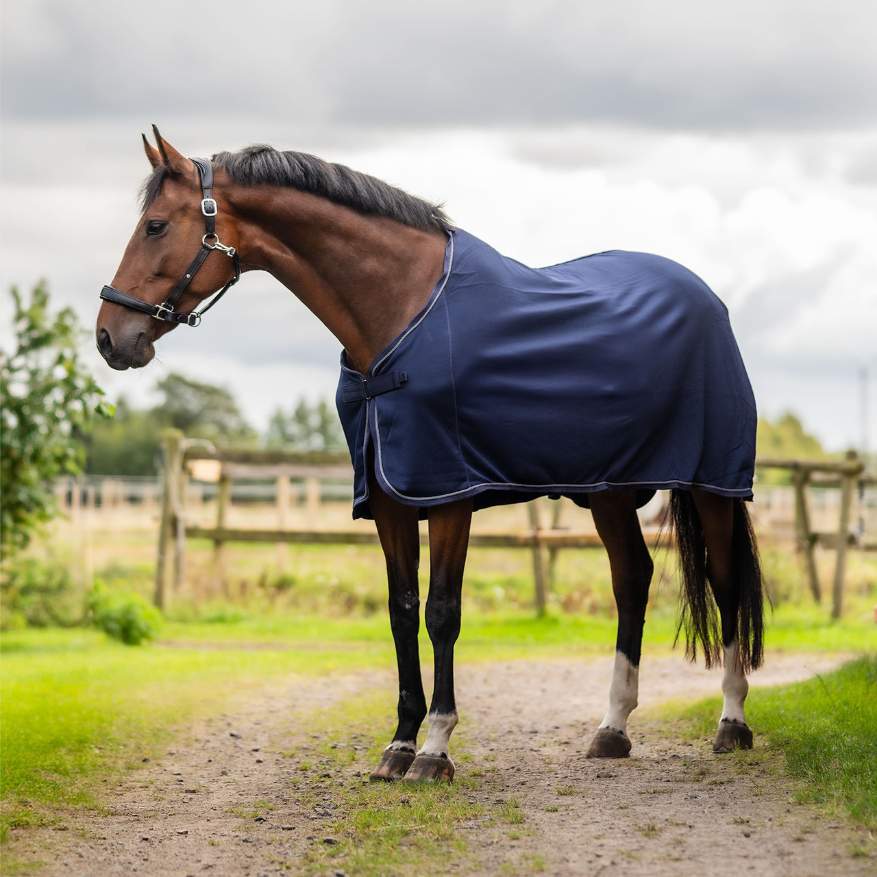 Jerseytäcke Fahrenheit