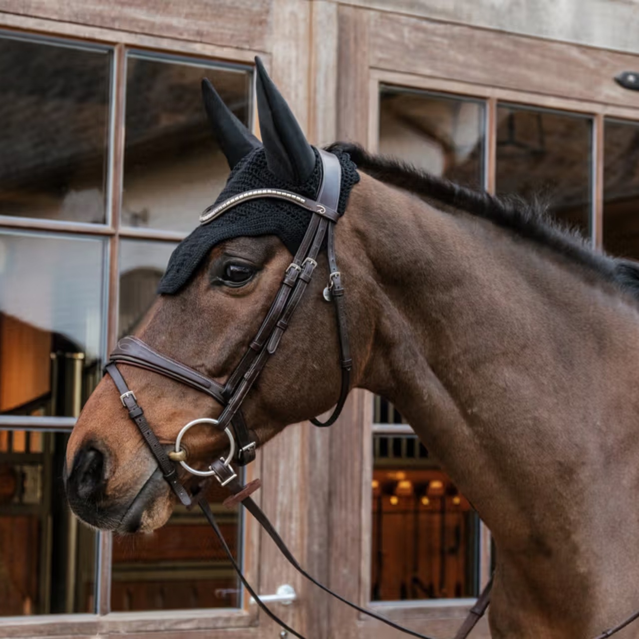 Huva wellington ljudisolerad kentucky