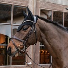 Huva wellington ljudisolerad kentucky