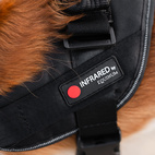 Hundsele Therapy Infra