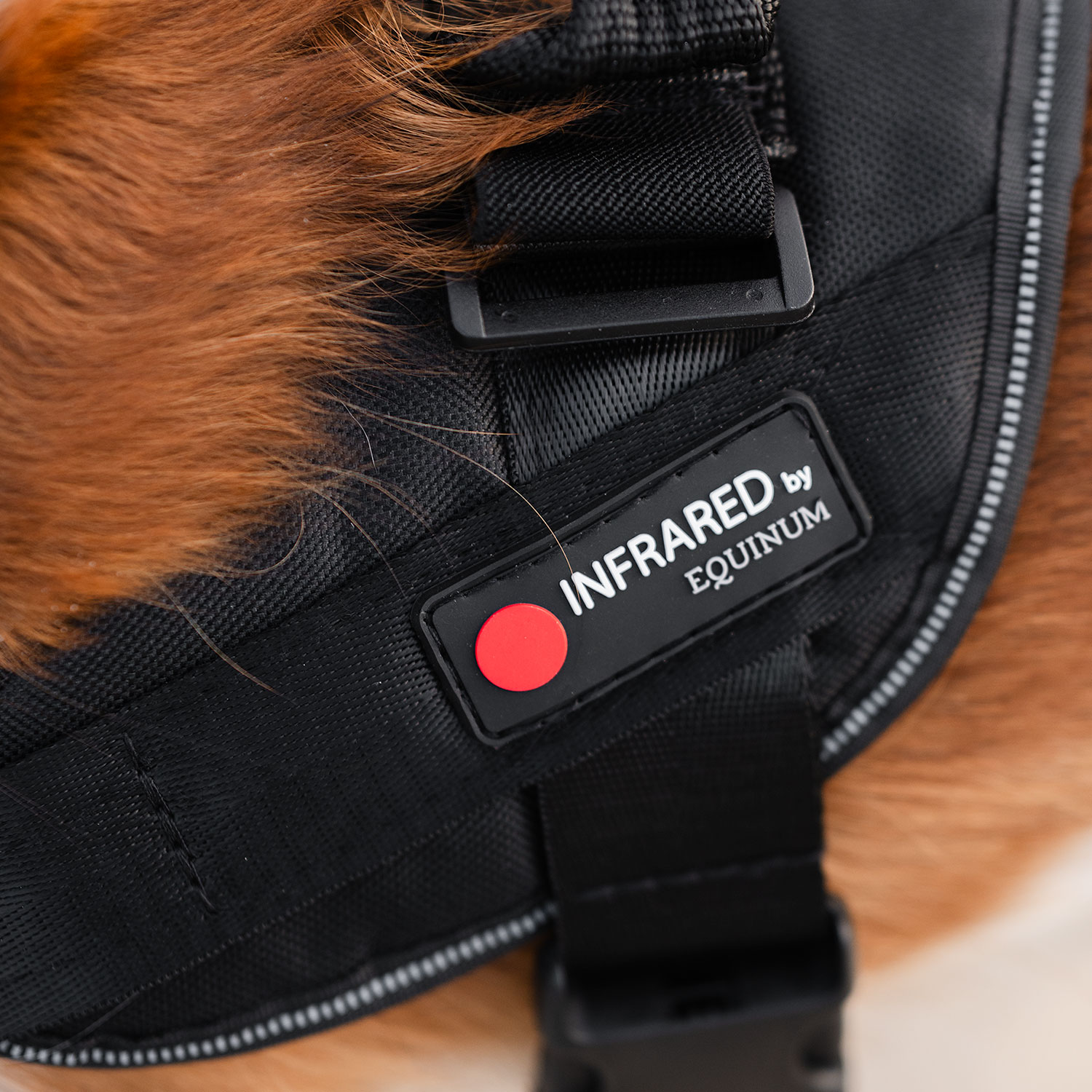 Hundsele Therapy Infra