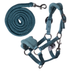 Grimma till käpphäst