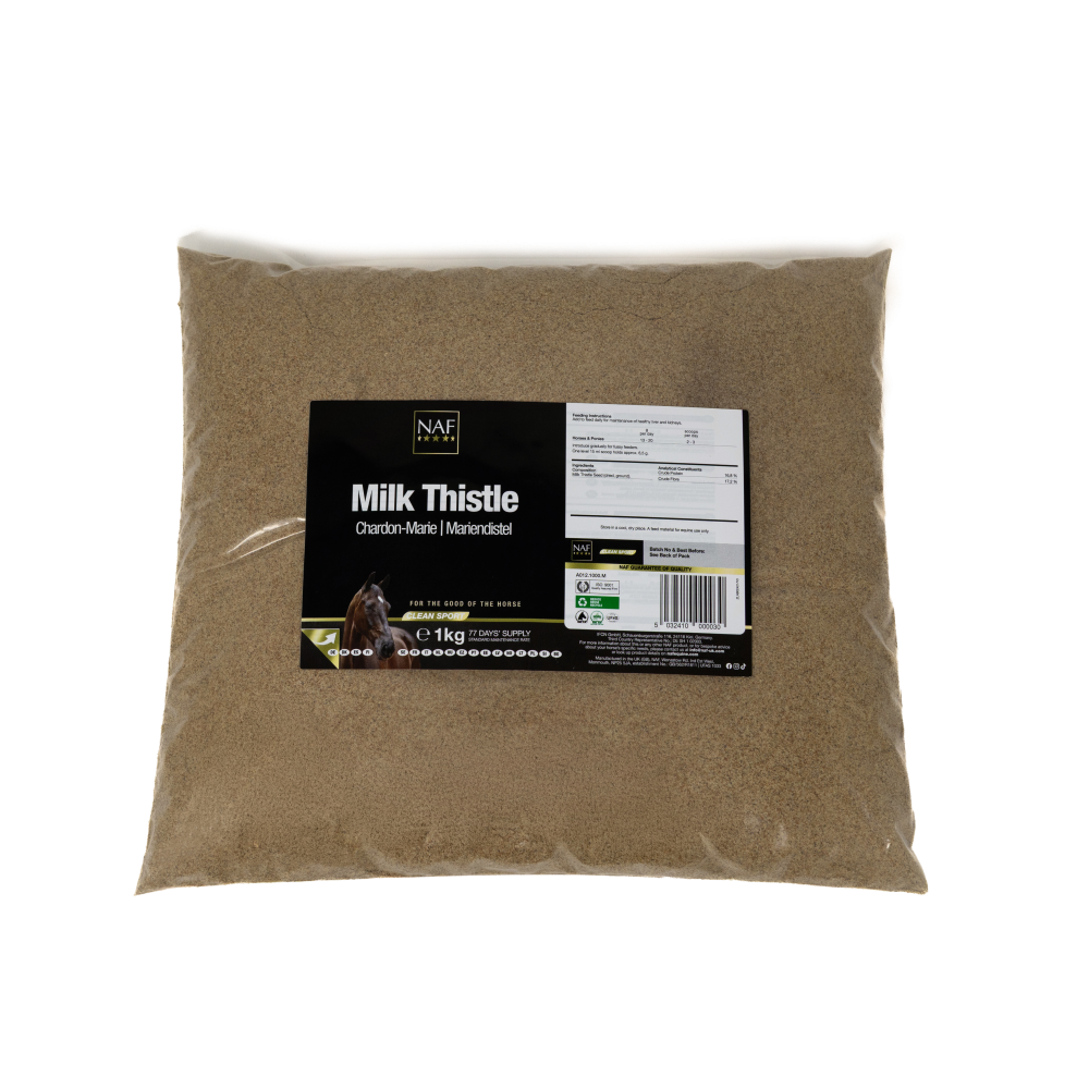 Mariatistel / Milk Thistle Powder 1 kg