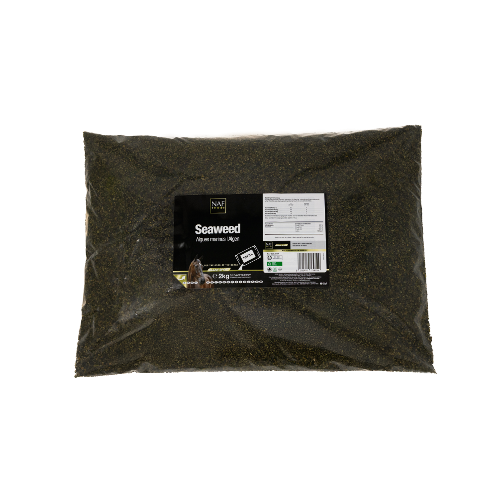 NAF Alger / Seaweed