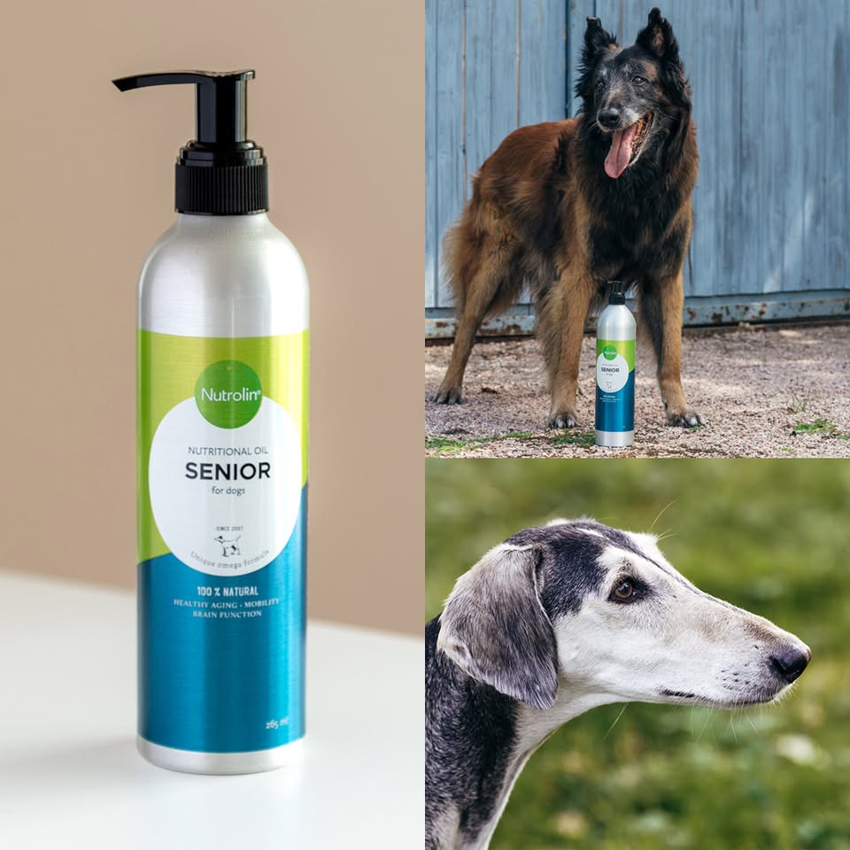 Hund Senior 990 ml