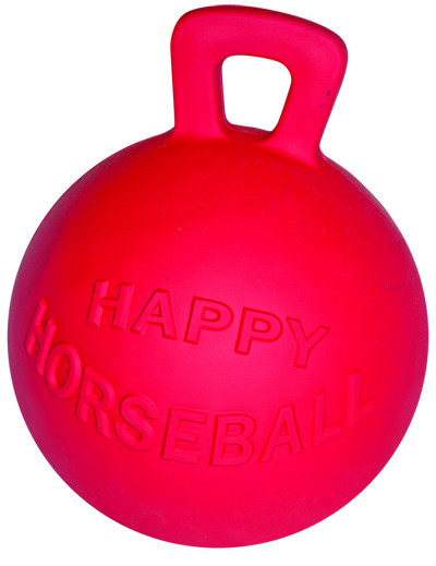 Happy horse ball