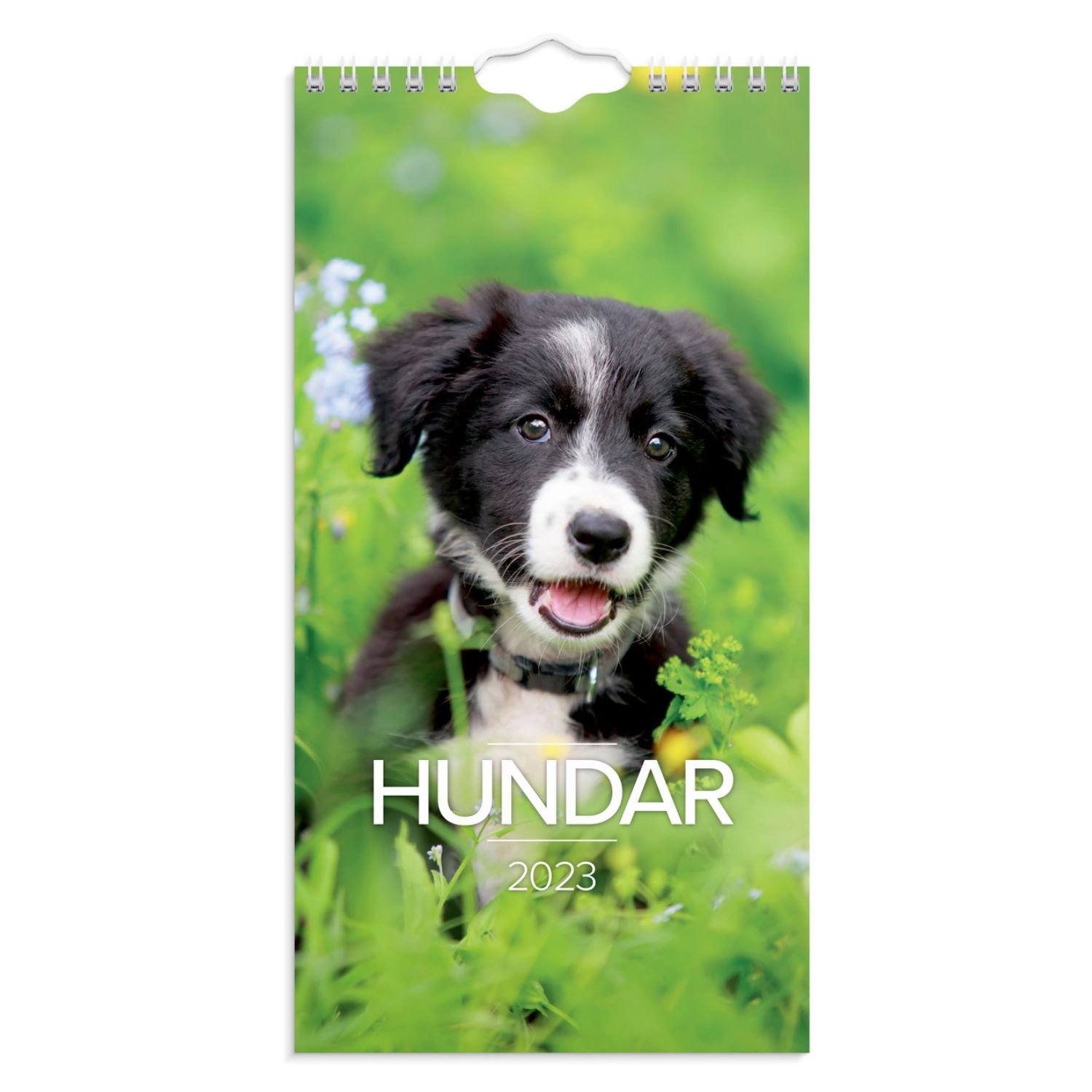 Hundkalender liten 2023