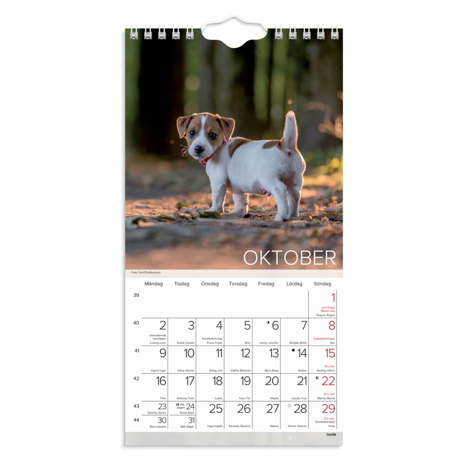 Hundkalender liten 2023