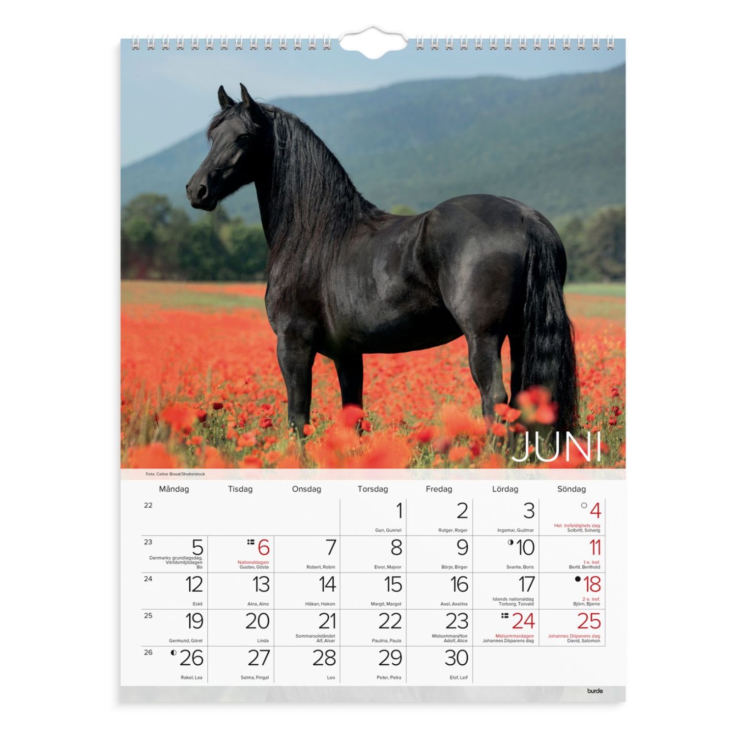 Hästkalender 2023 stor