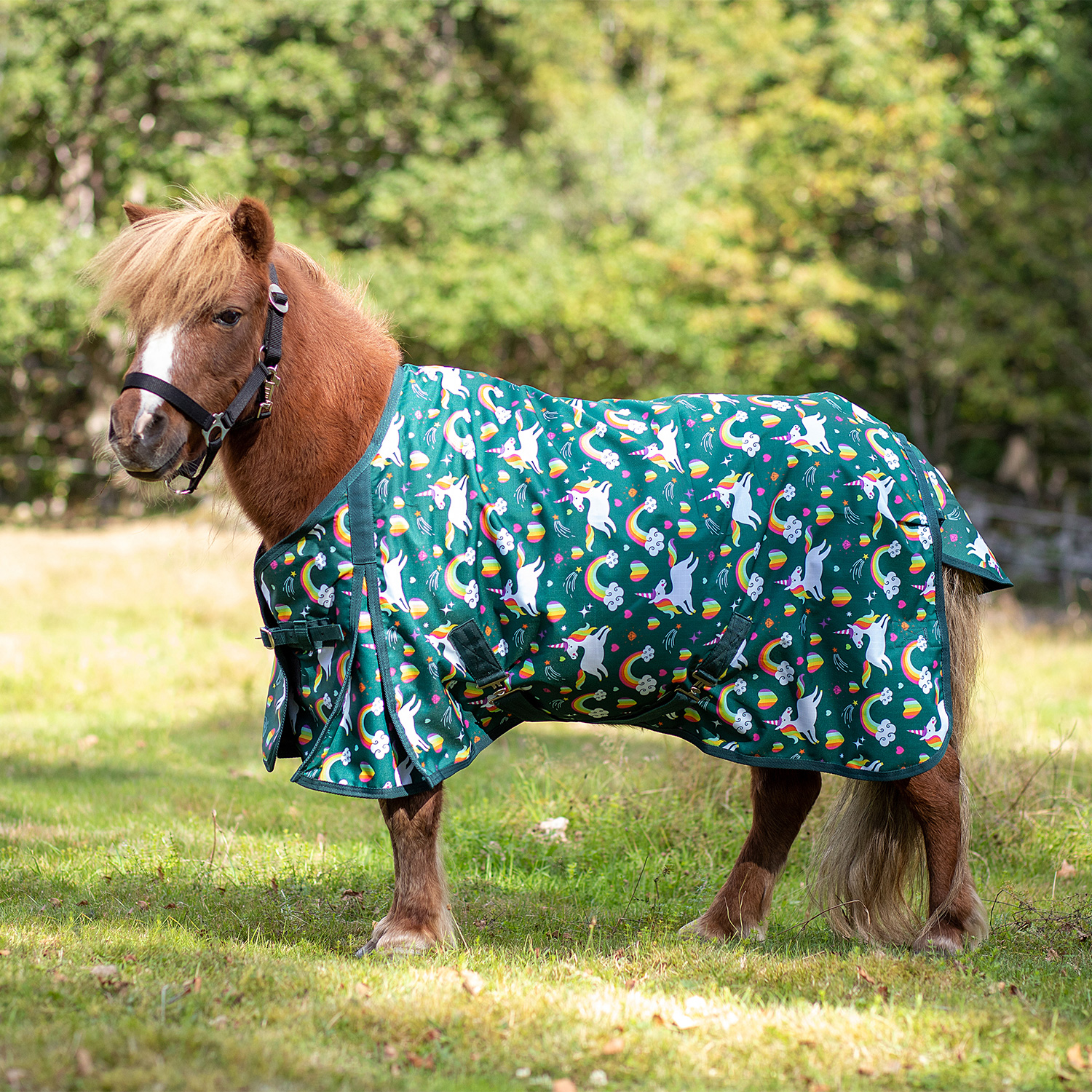 Regntäcke Mini unicorn